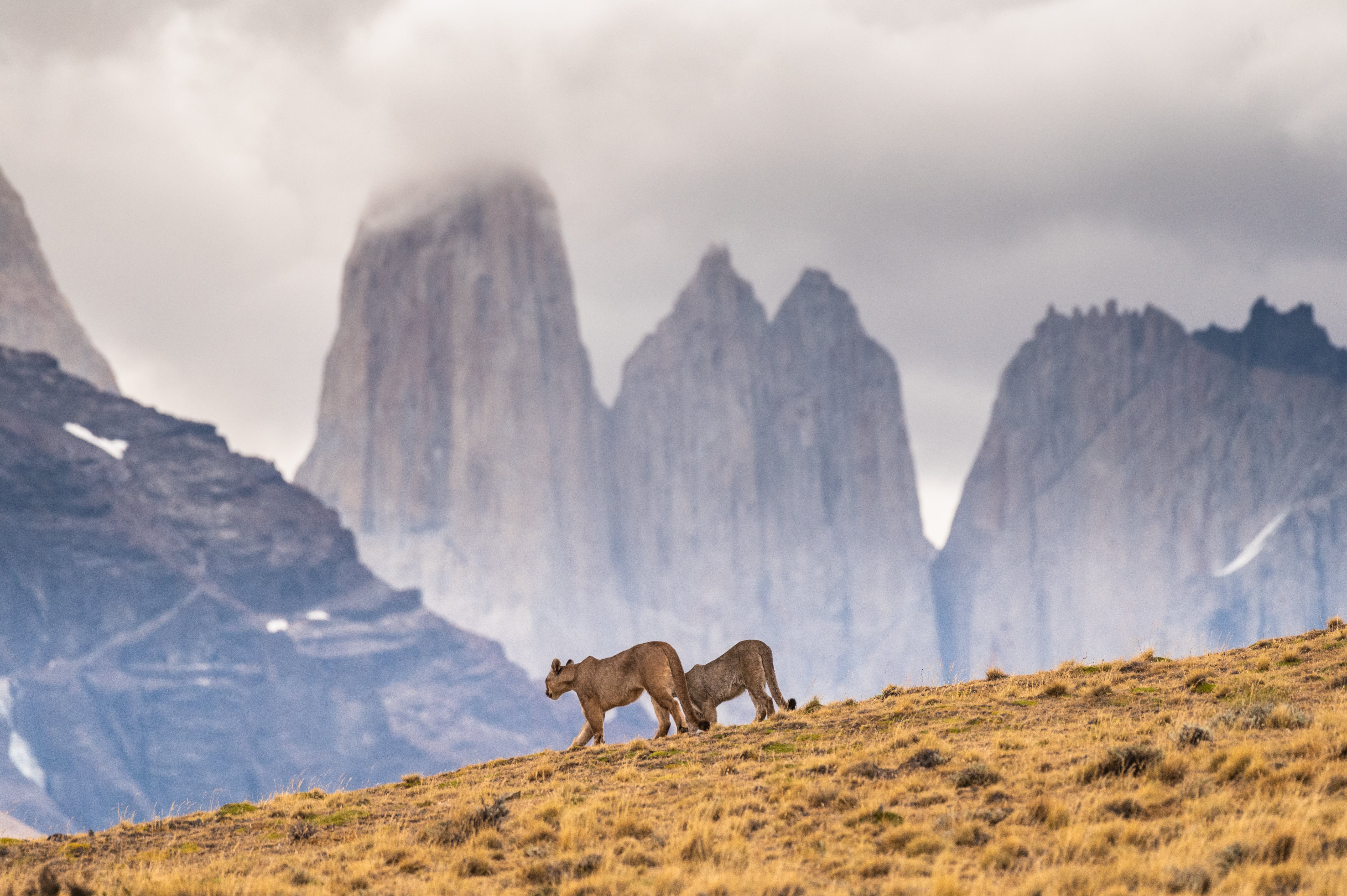 Torres Del Paine