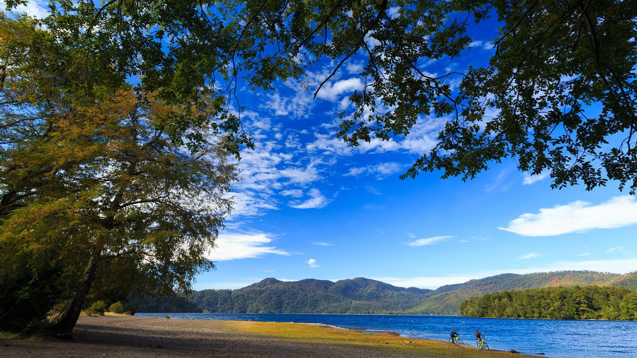 Aventura Na Reserva Biológica De Huilo Huilo Partindo De Valdivia foto 4
