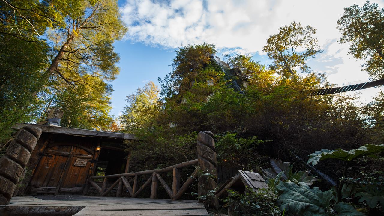 Aventura Na Reserva Biológica De Huilo Huilo Partindo De Valdivia foto 5