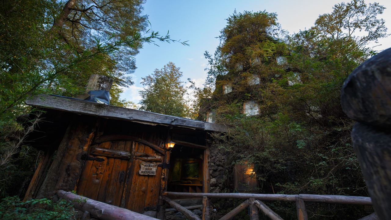 Aventura Na Reserva Biológica De Huilo Huilo Partindo De Valdivia foto 7