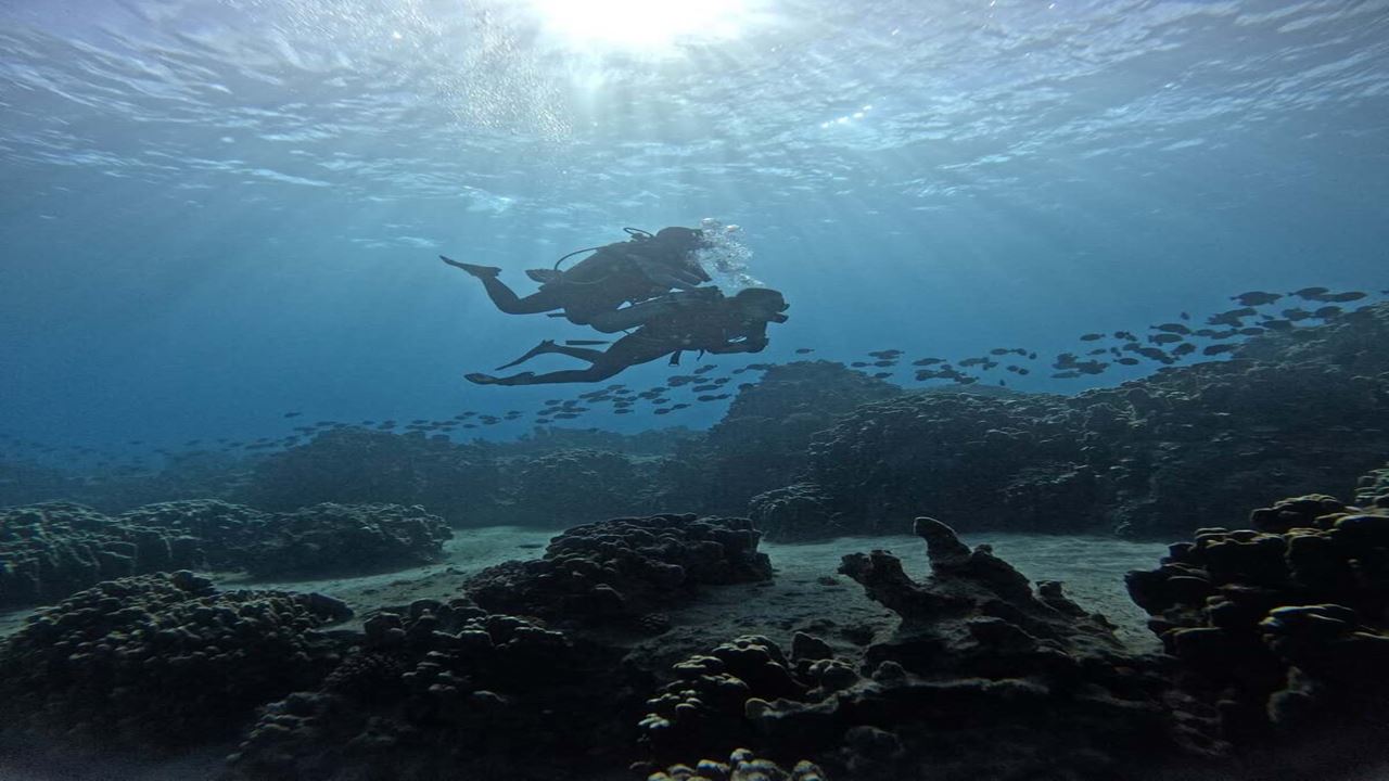Aventura De Mergulho Na Costa Externa De Hanga Roa foto 2