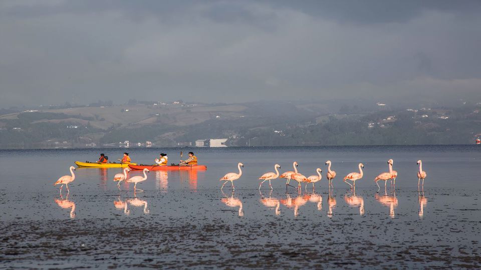 Aventura En Chiloe: Ancud, Caulin Y Lacuy
 foto 3