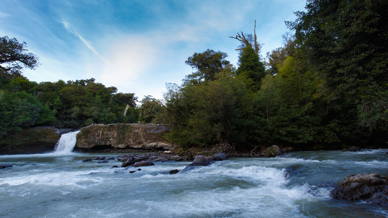 Aventura Entre Lagos: Desde Puerto Octay, Lago Rupanco Hasta Puyehue
 foto 6