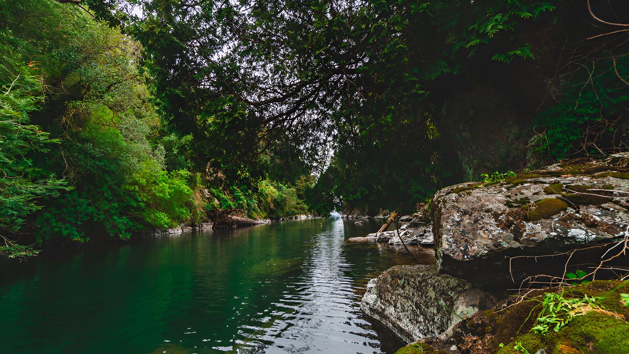Aventura Entre Lagos: Desde Puerto Octay, Lago Rupanco Hasta Puyehue
 foto 8