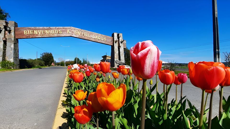 Aventura Entre Lagos: Desde Puerto Octay, Lago Rupanco Hasta Puyehue
 foto 1