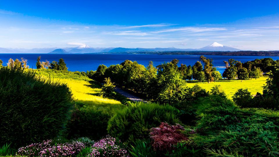 Aventura Entre Lagos: Desde Puerto Octay, Lago Rupanco Hasta Puyehue
 foto 9