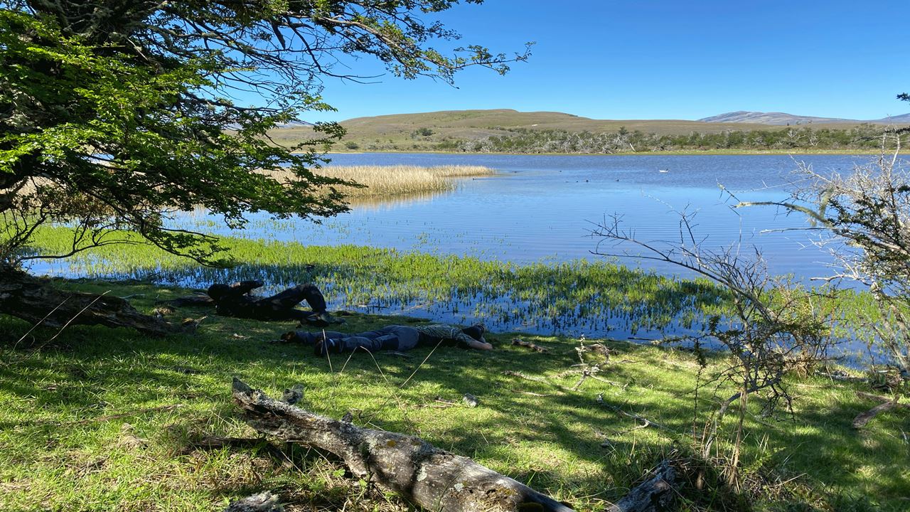 Bird Watching foto 2