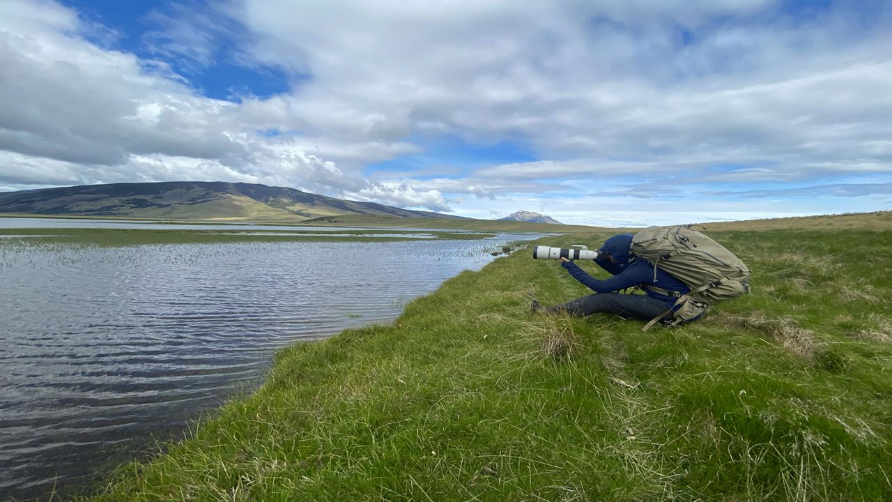 Bird Watching foto 3