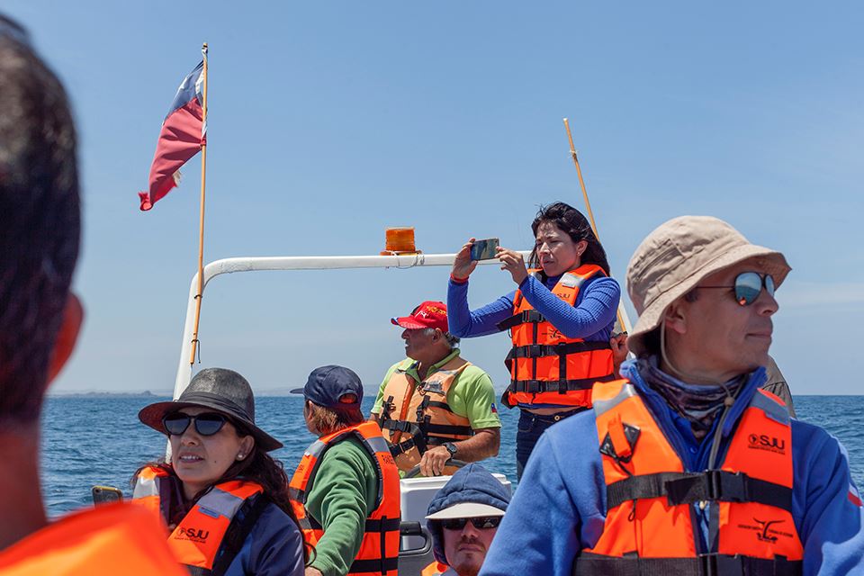 Whale Watching In The Chañaral Island Marine Reserve foto 12