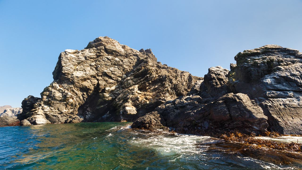 Whale Watching In The Chañaral Island Marine Reserve foto 3