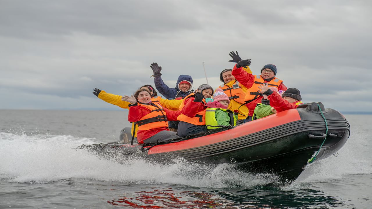 Dolphin Watching And Horseback Riding foto 1
