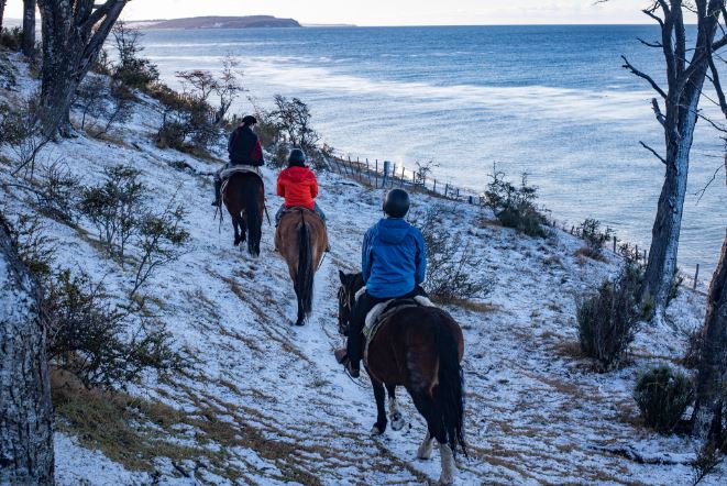 Dolphin Watching And Horseback Riding foto 6