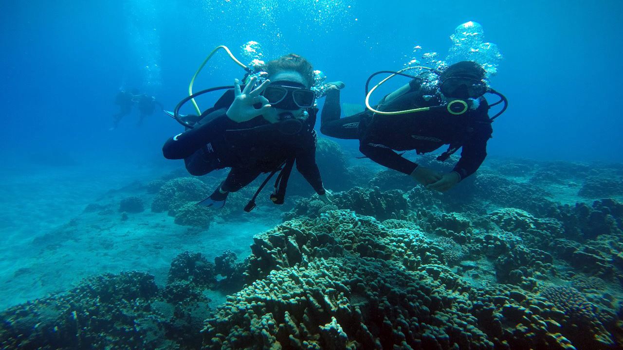 Test Diving In Hanga Roa foto 8