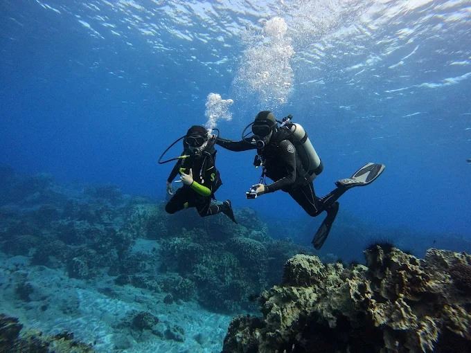 Mergulho Na Baía De Hanga Roa foto 3