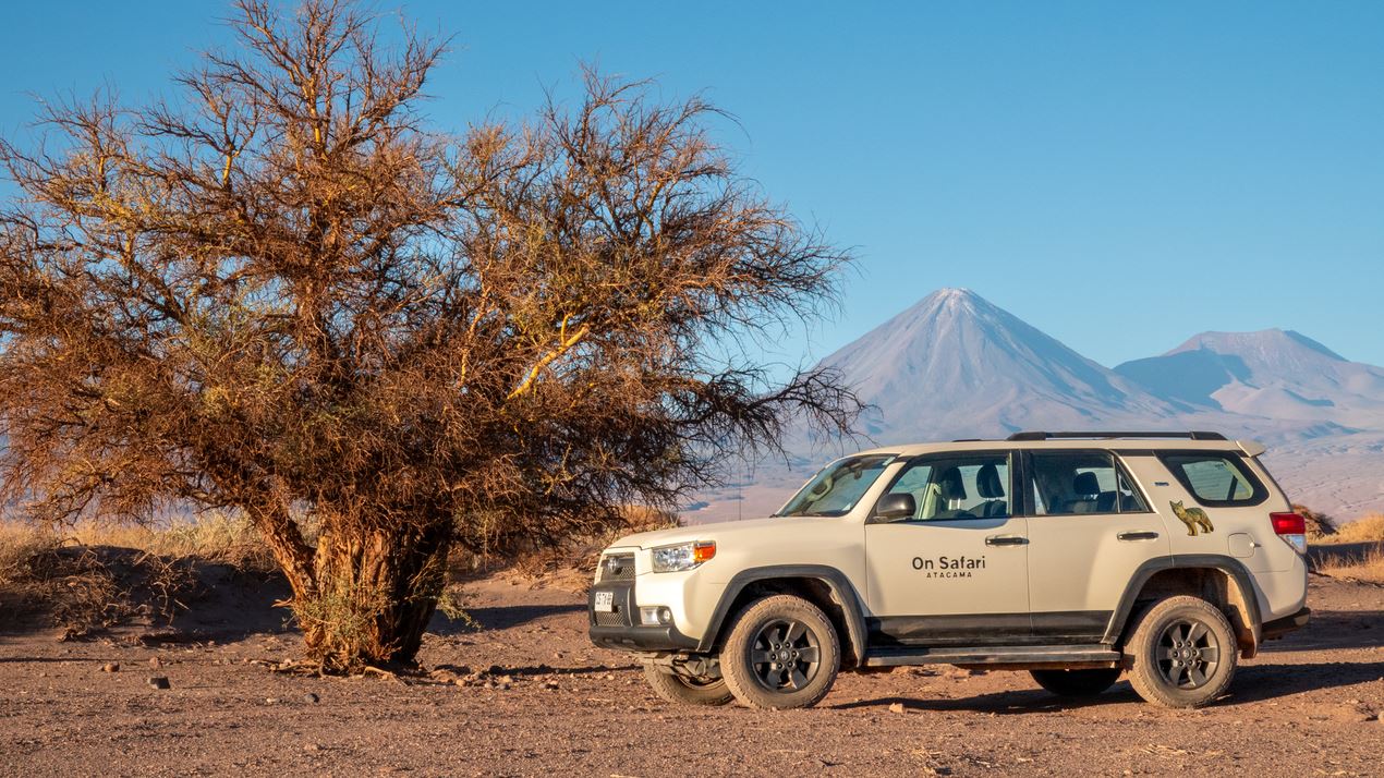 Buggy Safari Guiado: Aventura Off-road Entre Dunas Y Paisajes Naturales foto 6