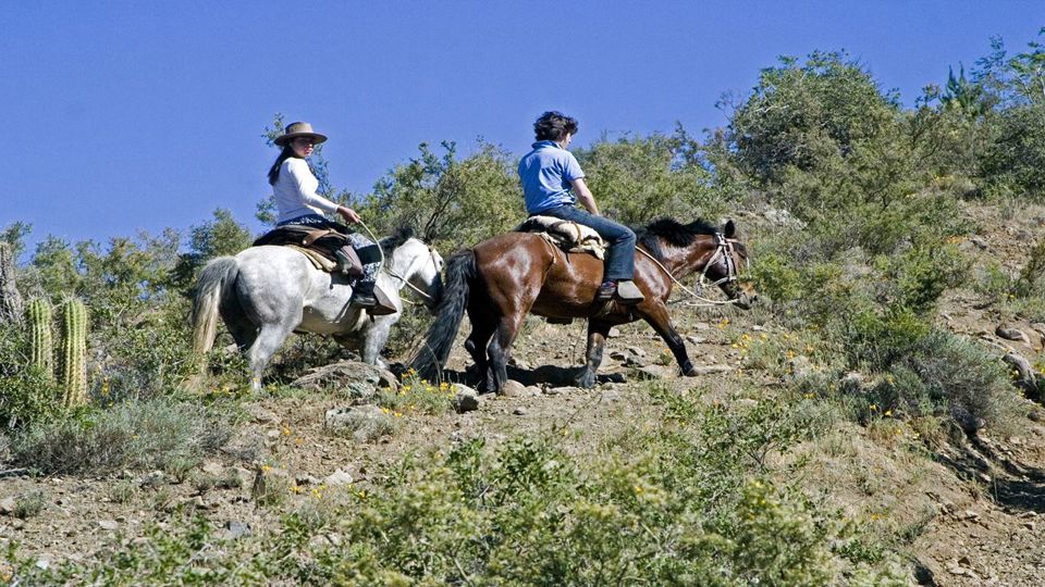 Horseback Riding Through The Animas Waterfall With Barbecue In Cajón Del Maipo foto 1