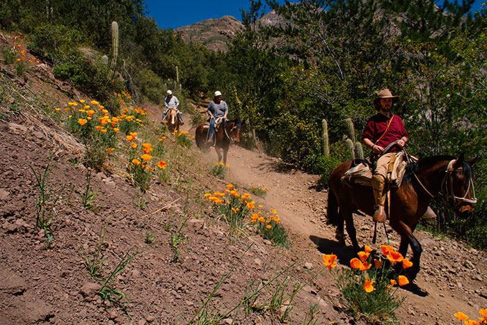 Horseback Riding Through The Animas Waterfall With Barbecue In Cajón Del Maipo foto 9