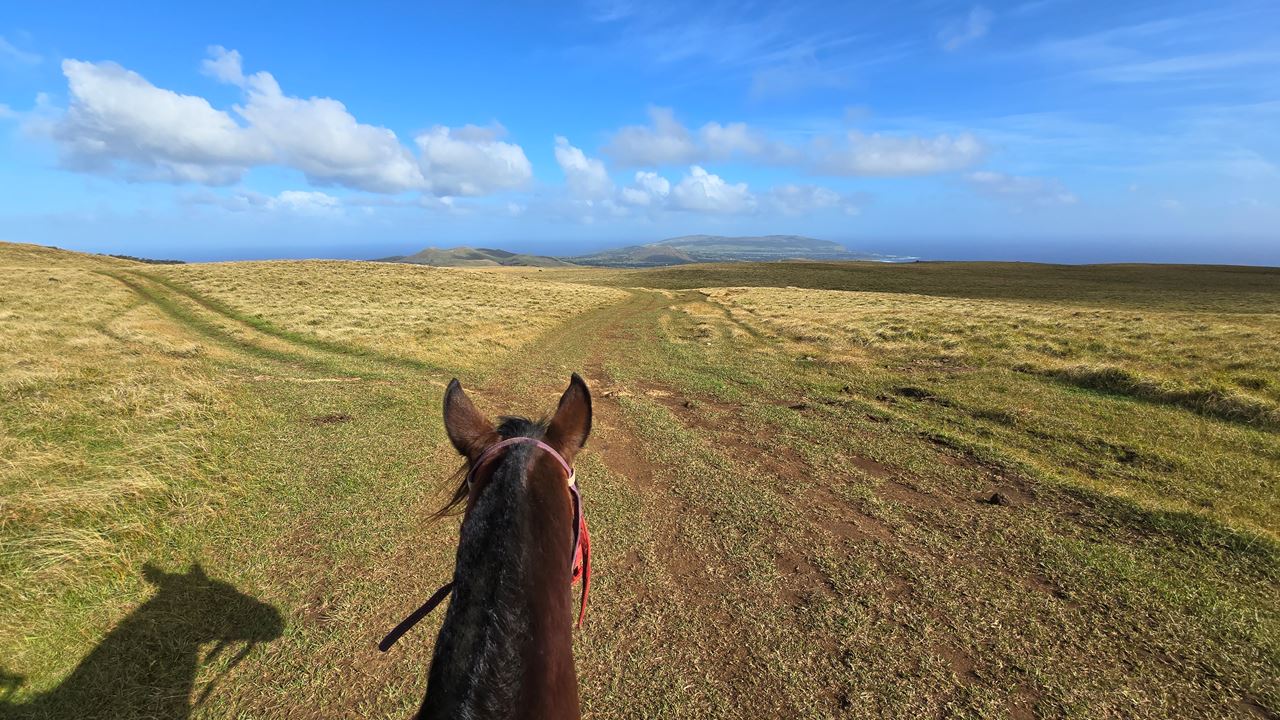 Cabalgata En Isla De Pascua foto 9