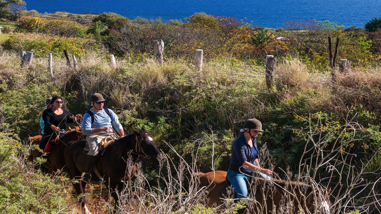 Cabalgata En Isla De Pascua foto 3