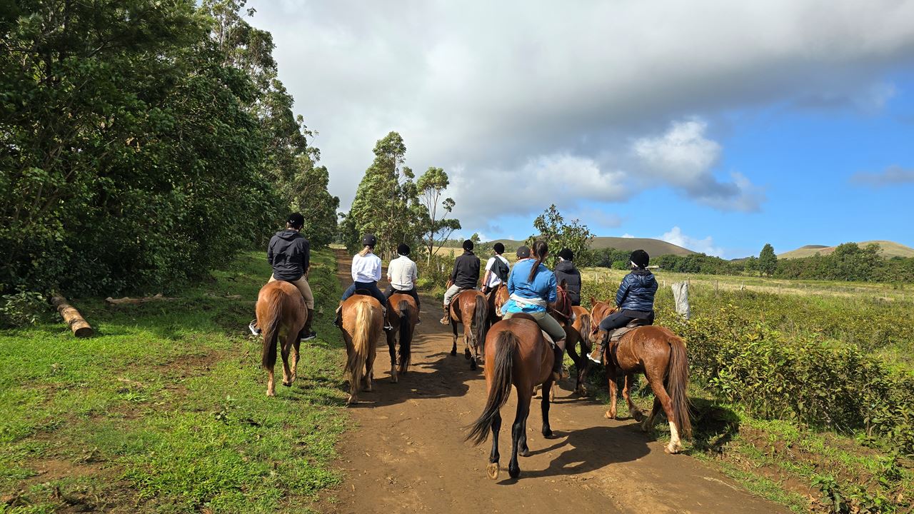 Cabalgata En Isla De Pascua foto 10