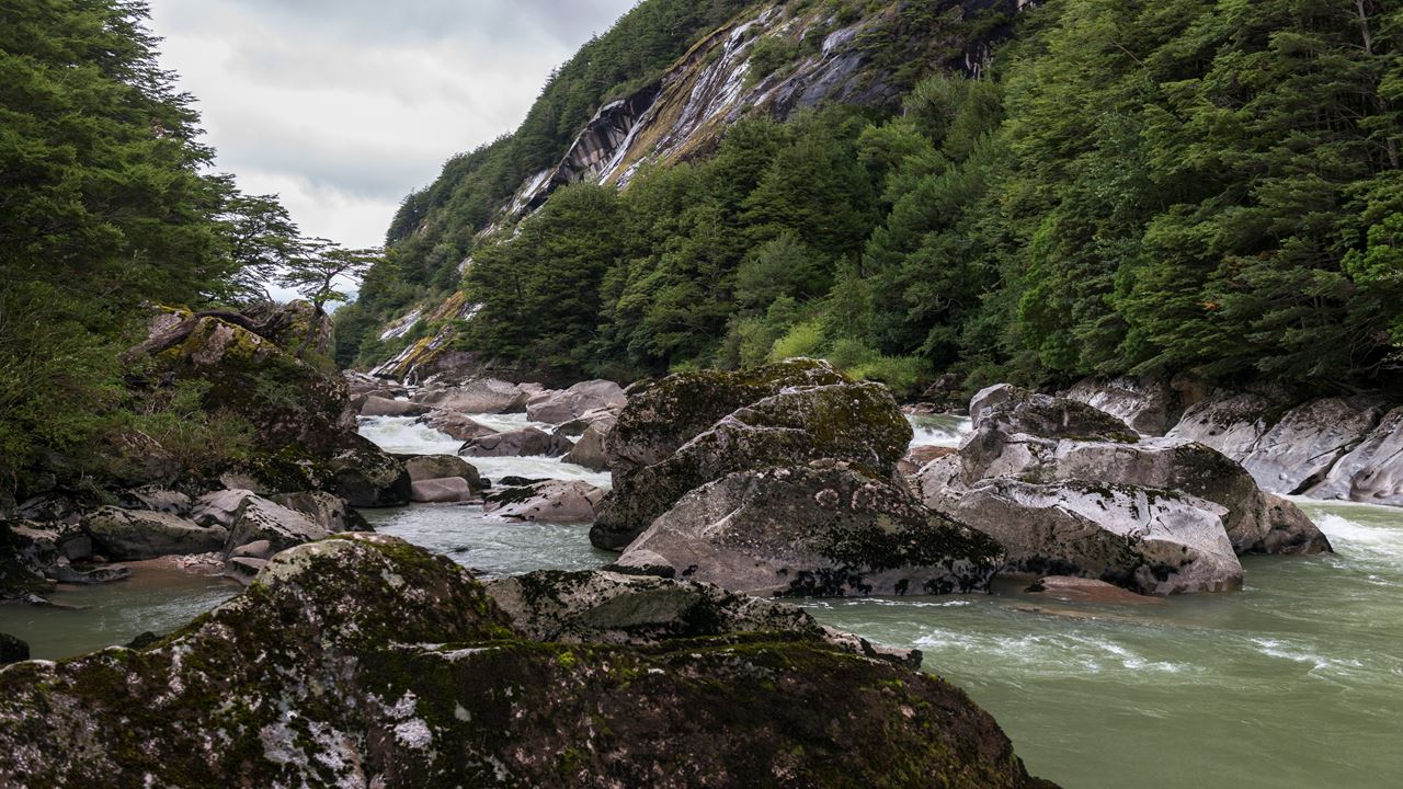 Passeio A Cavalo Panorâmico Pela Reserva Nacional Do Rio Simpson foto 2
