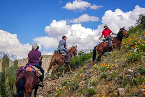 Passeio A Cavalo Panorâmico Pela Reserva Nacional Do Rio Simpson foto 4