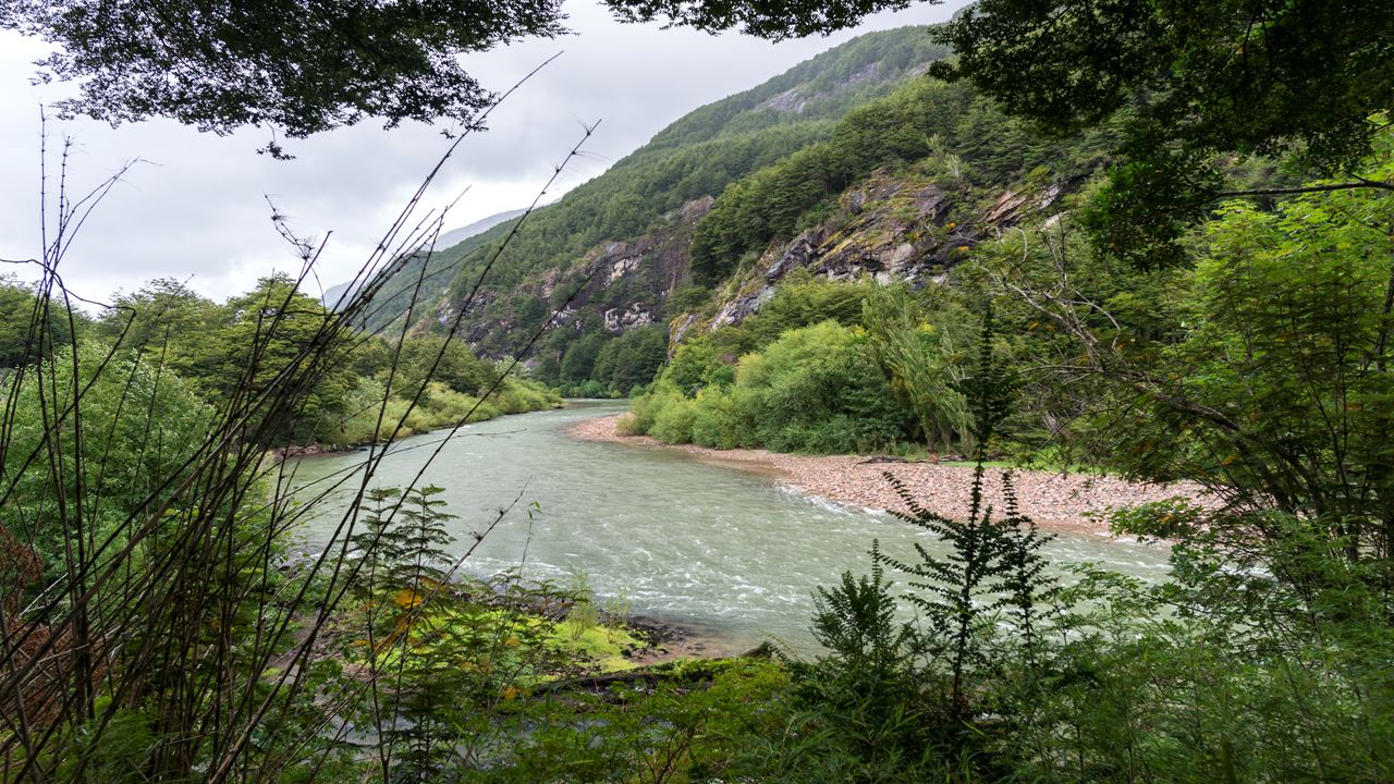 Passeio A Cavalo Panorâmico Pela Reserva Nacional Do Rio Simpson foto 5