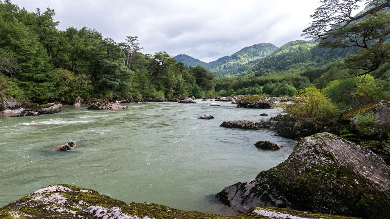 Passeio A Cavalo Panorâmico Pela Reserva Nacional Do Rio Simpson foto 3