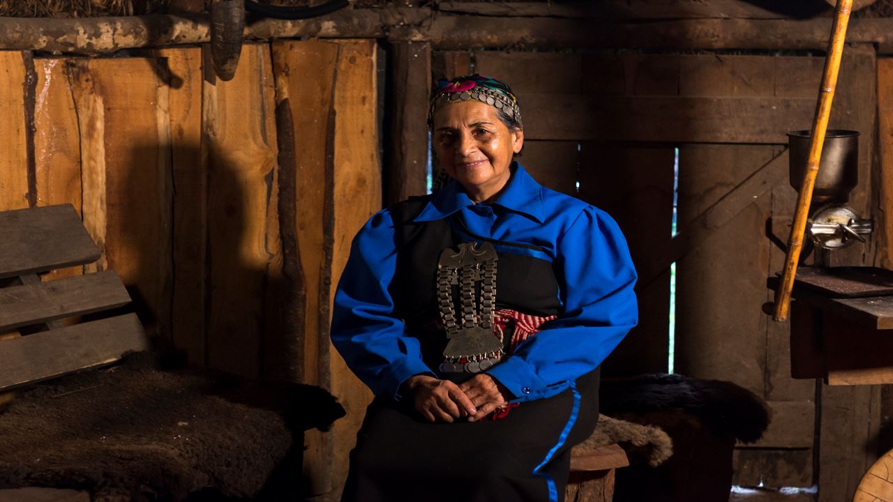 Cabalgata Mapuche Pucon Antilco O El Claro foto 7