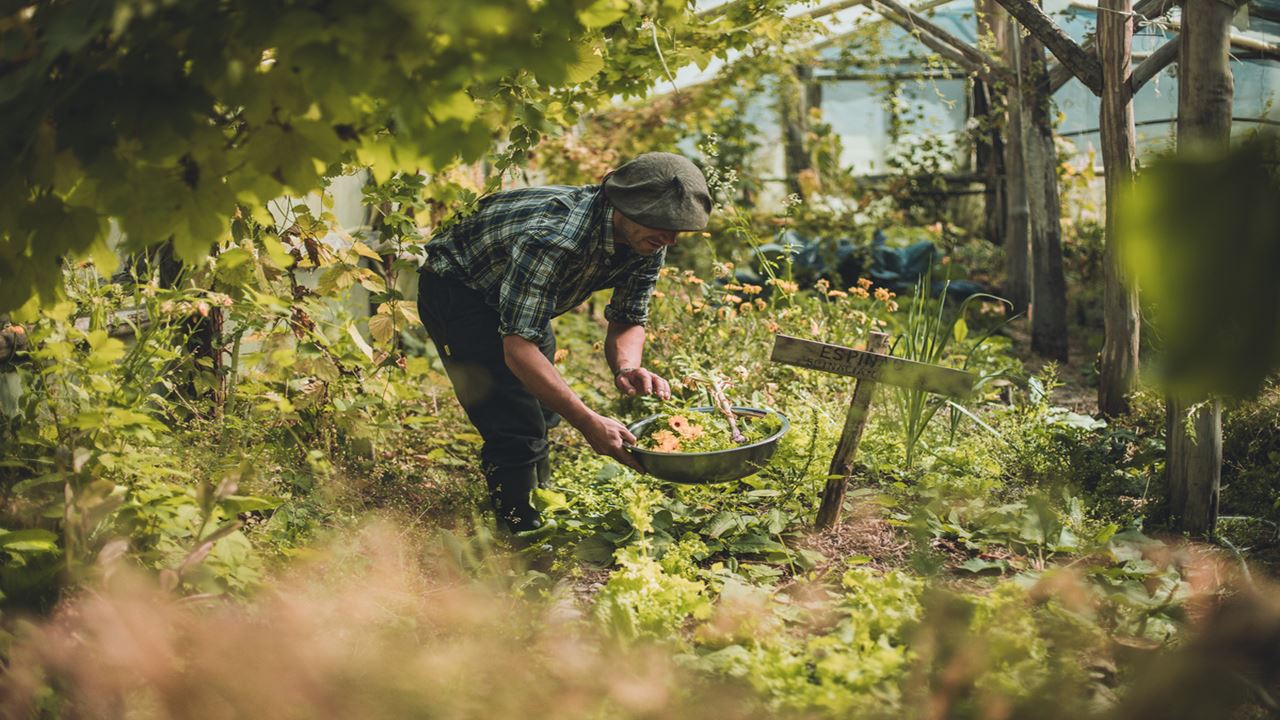 Waterfall Hike And Microscopic Nature Experience foto 6