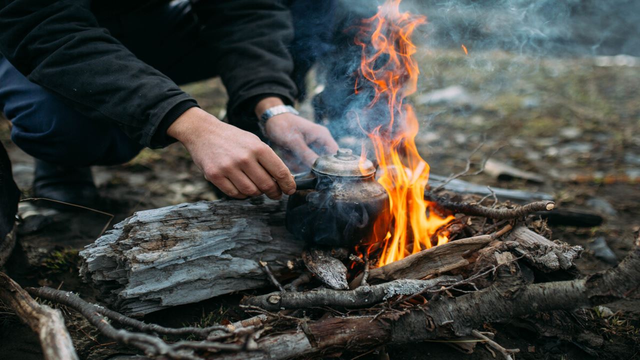 Waterfall Hike And Microscopic Nature Experience foto 7