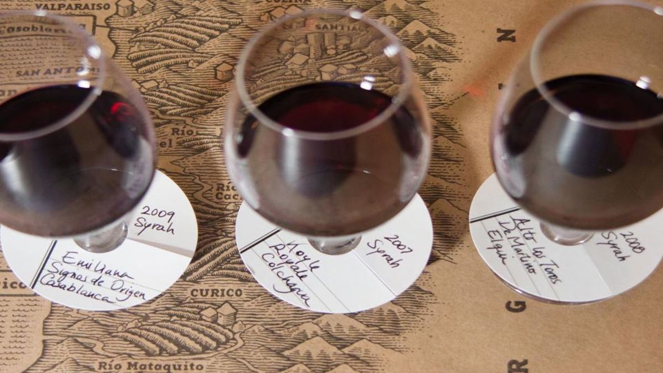 Signature Pairing Dinner – Flavors And Wines Of Chile foto 5