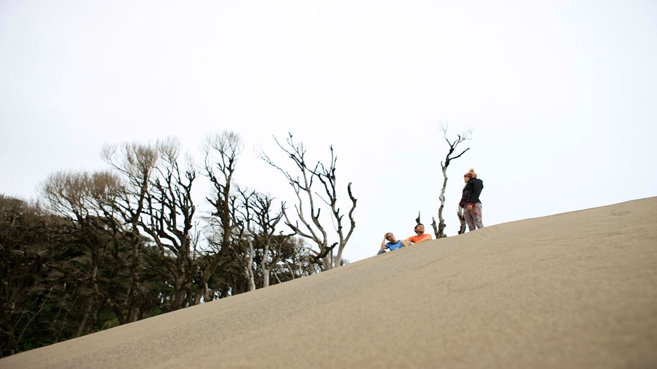 Tesouros Chaihuin E Curral Da Rota Costeira Valdiviana foto 6