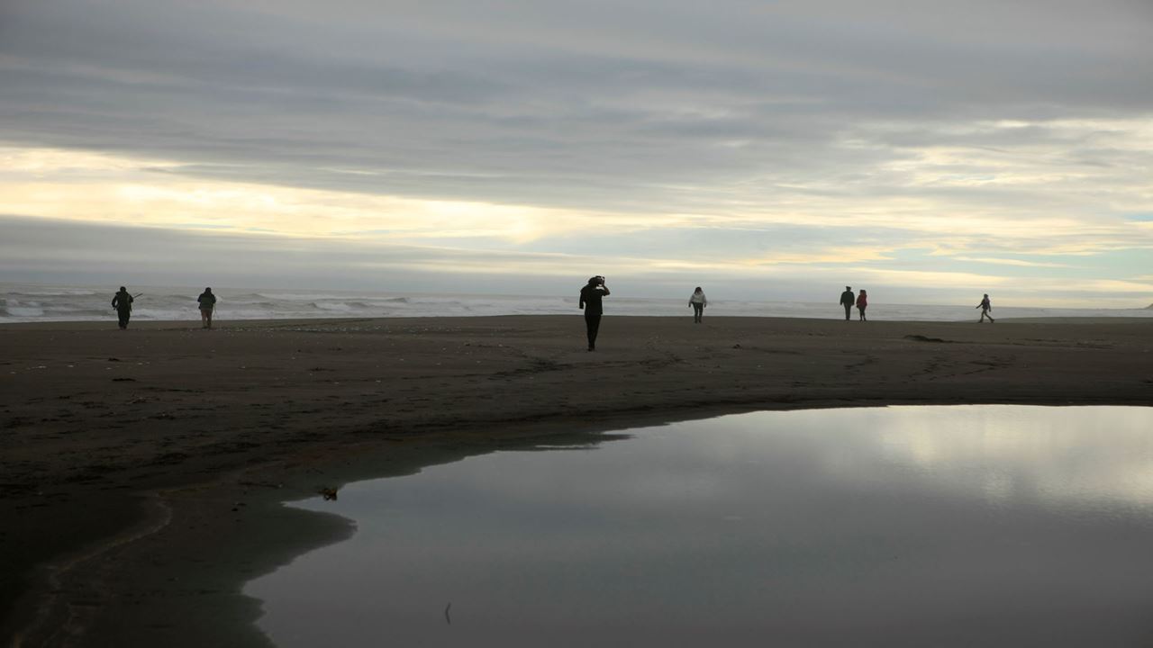Tesouros Chaihuin E Curral Da Rota Costeira Valdiviana foto 2
