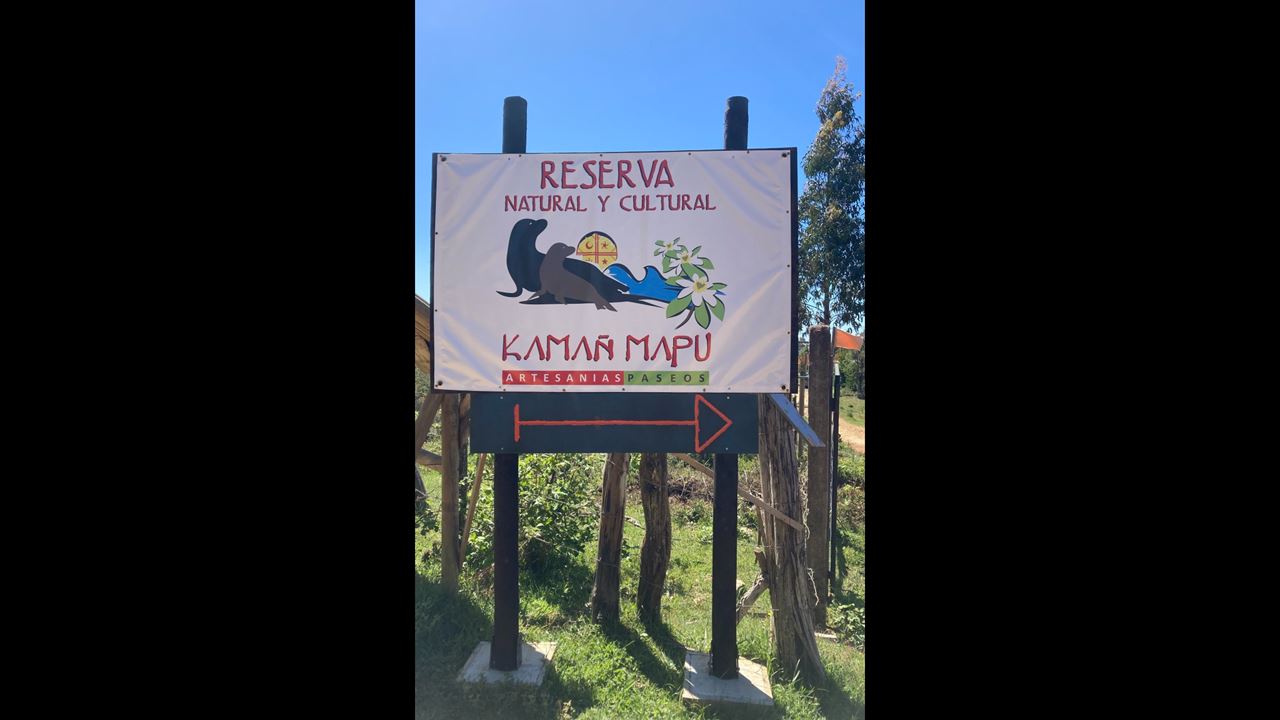 Tesouros Chaihuin E Curral Da Rota Costeira Valdiviana foto 3