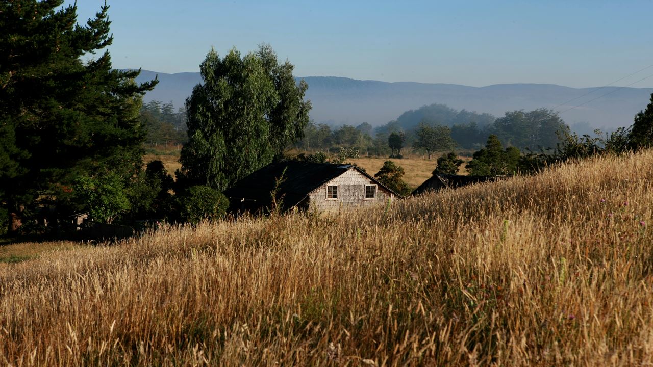 Chiloe Magico: Seguindo Os Passos De Darwin No Parque Nacional De Chiloe foto 17