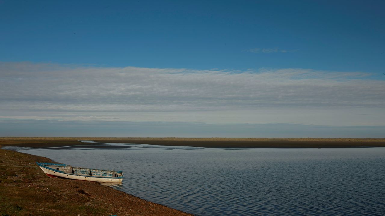 Chiloe Magico: Seguindo Os Passos De Darwin No Parque Nacional De Chiloe foto 18