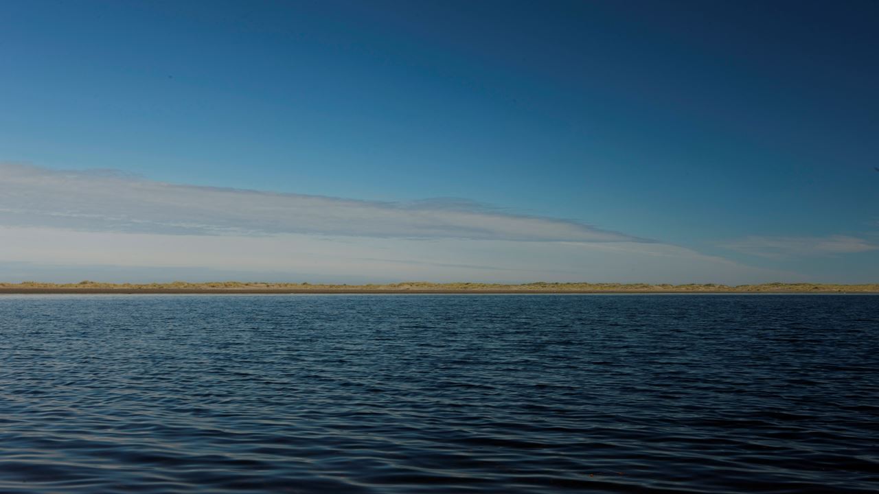 Chiloe Magico: Seguindo Os Passos De Darwin No Parque Nacional De Chiloe foto 10