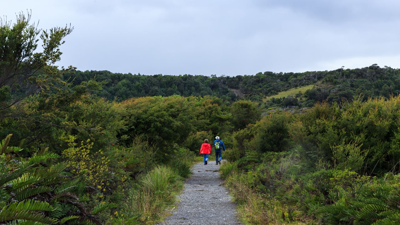 Chiloe Magico: Seguindo Os Passos De Darwin No Parque Nacional De Chiloe foto 15