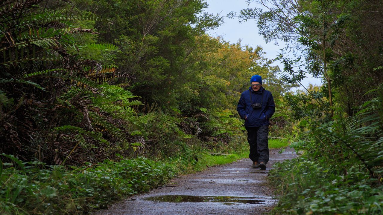 Chiloe Magico: Seguindo Os Passos De Darwin No Parque Nacional De Chiloe foto 16