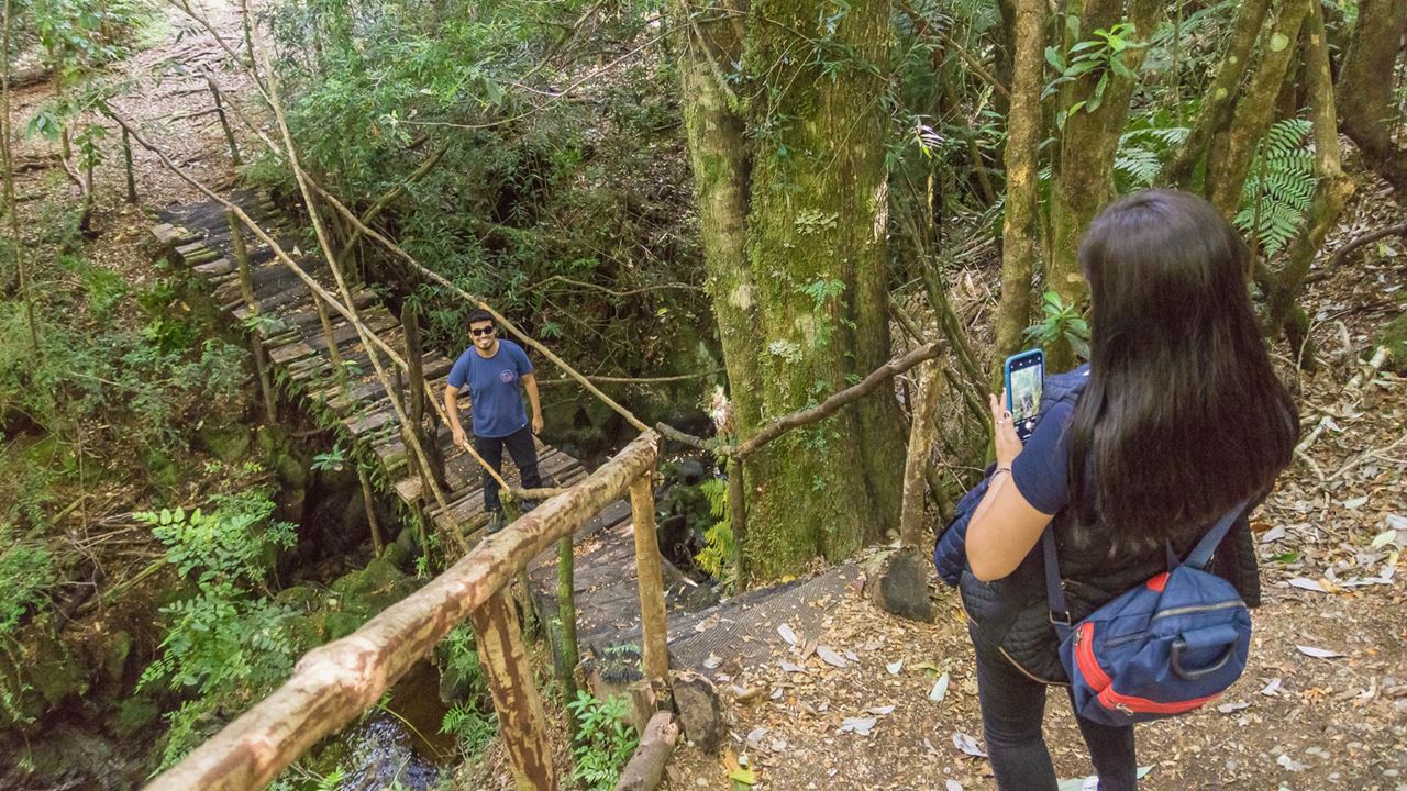 Chiloe Magico: Seguindo Os Passos De Darwin No Parque Nacional De Chiloe foto 6