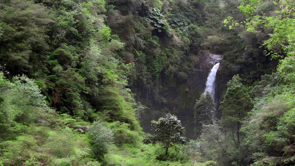 Circuito Encantado Vuelta Al Lago Llanquihue foto 3