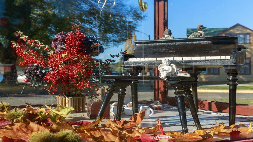 Circuito Encantado Vuelta Al Lago Llanquihue Y Volcan Osorno foto 7