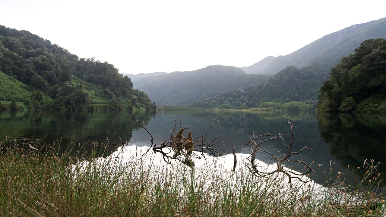 Circuito Lago Ranco Aventura Full Day Desde Valdivia foto 3