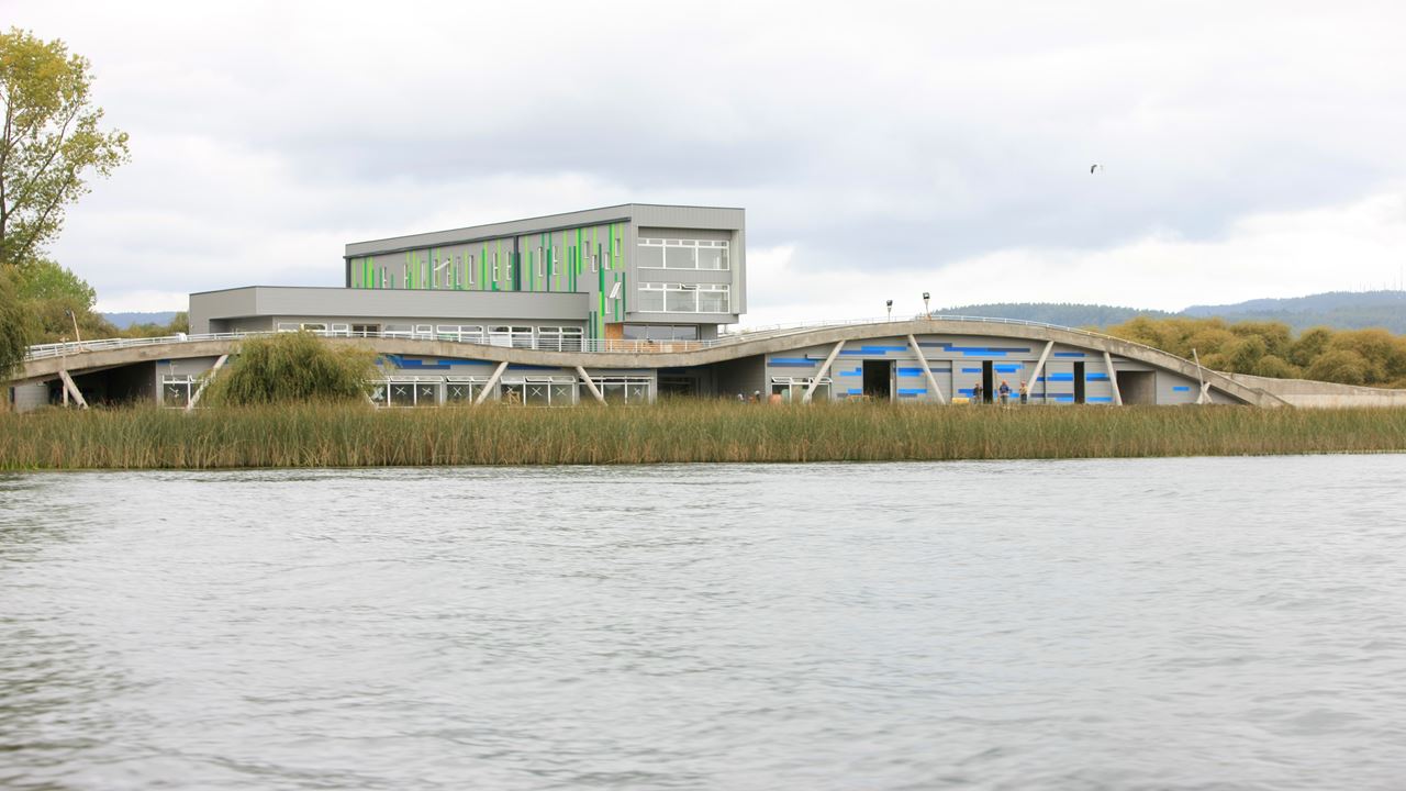 Circuito Navegacion A Isla Tejas En Valdivia
 foto 5