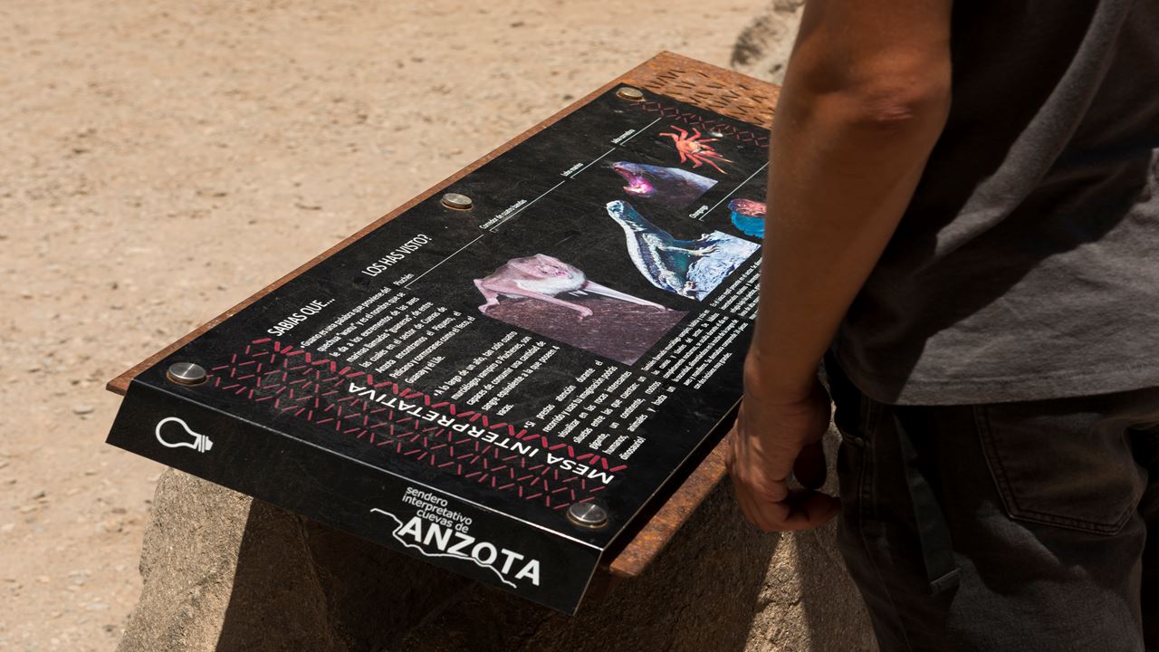 Panoramic Arica City Tour foto 7