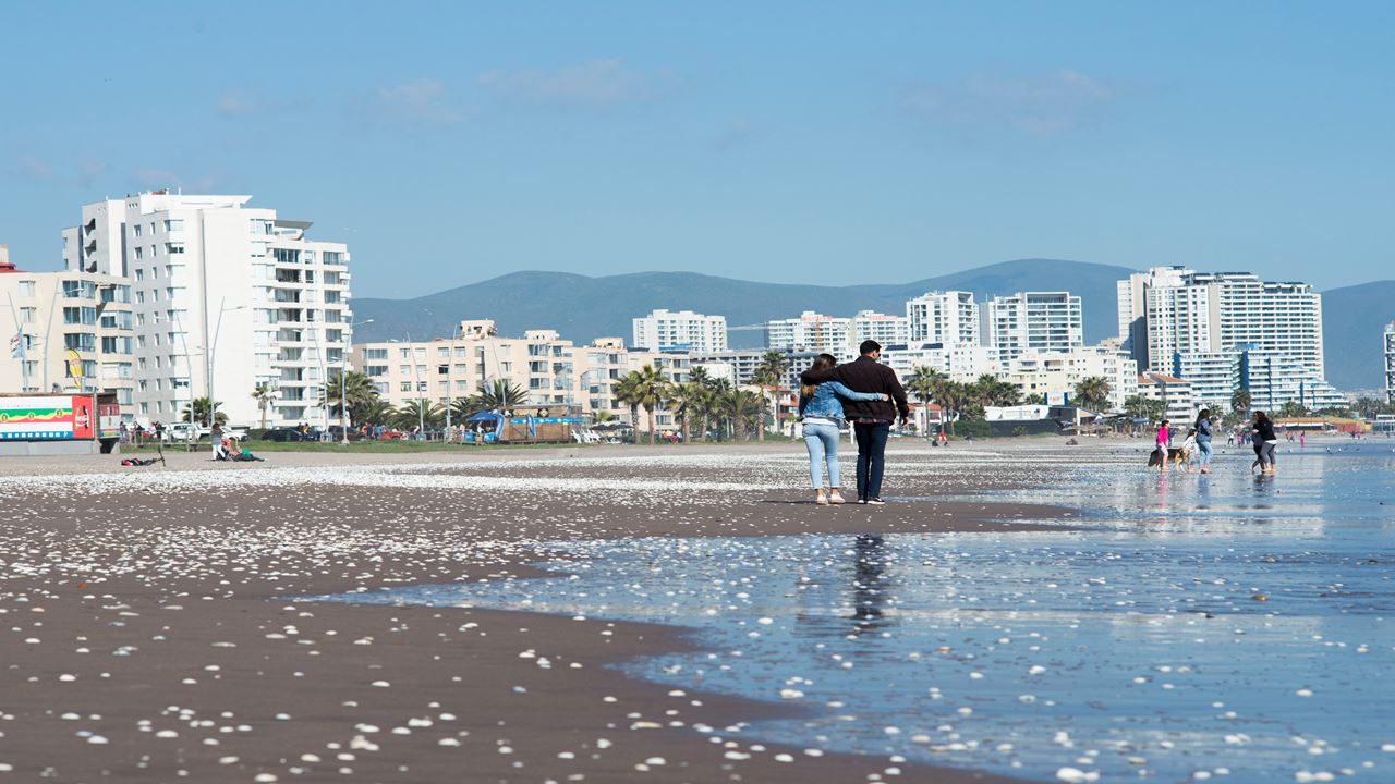 City Tour De La Serena E Coquimbo foto 6