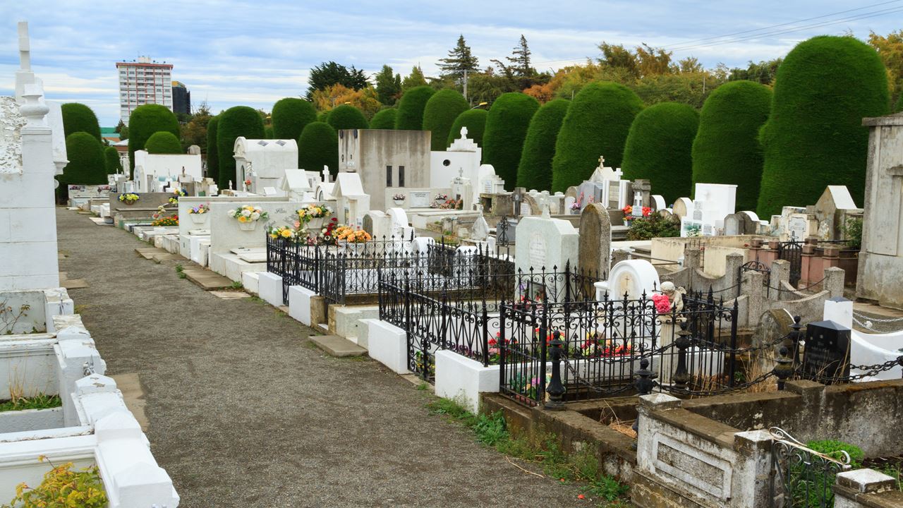 City Tour Panorámico Punta Arenas foto 5
