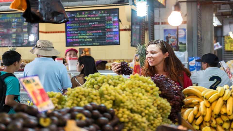 Santiago City Tour With Tasting And Metropolitan Park foto 8