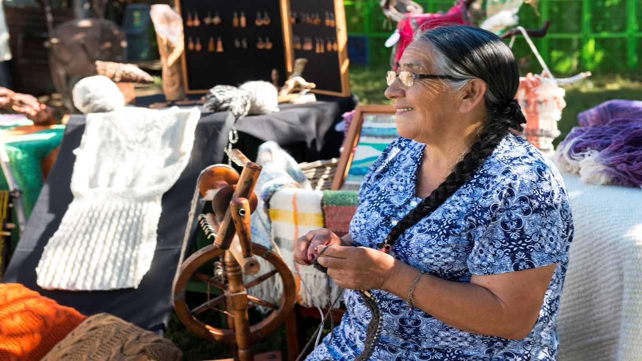Comunidad Mapuche Lago Budi Desde Pucon foto 4